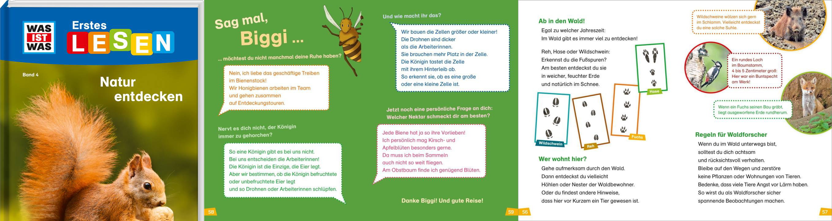 Was Ist Was Erstes Lesen – Drei Bände Set (4-6): Natur Entdecken Und