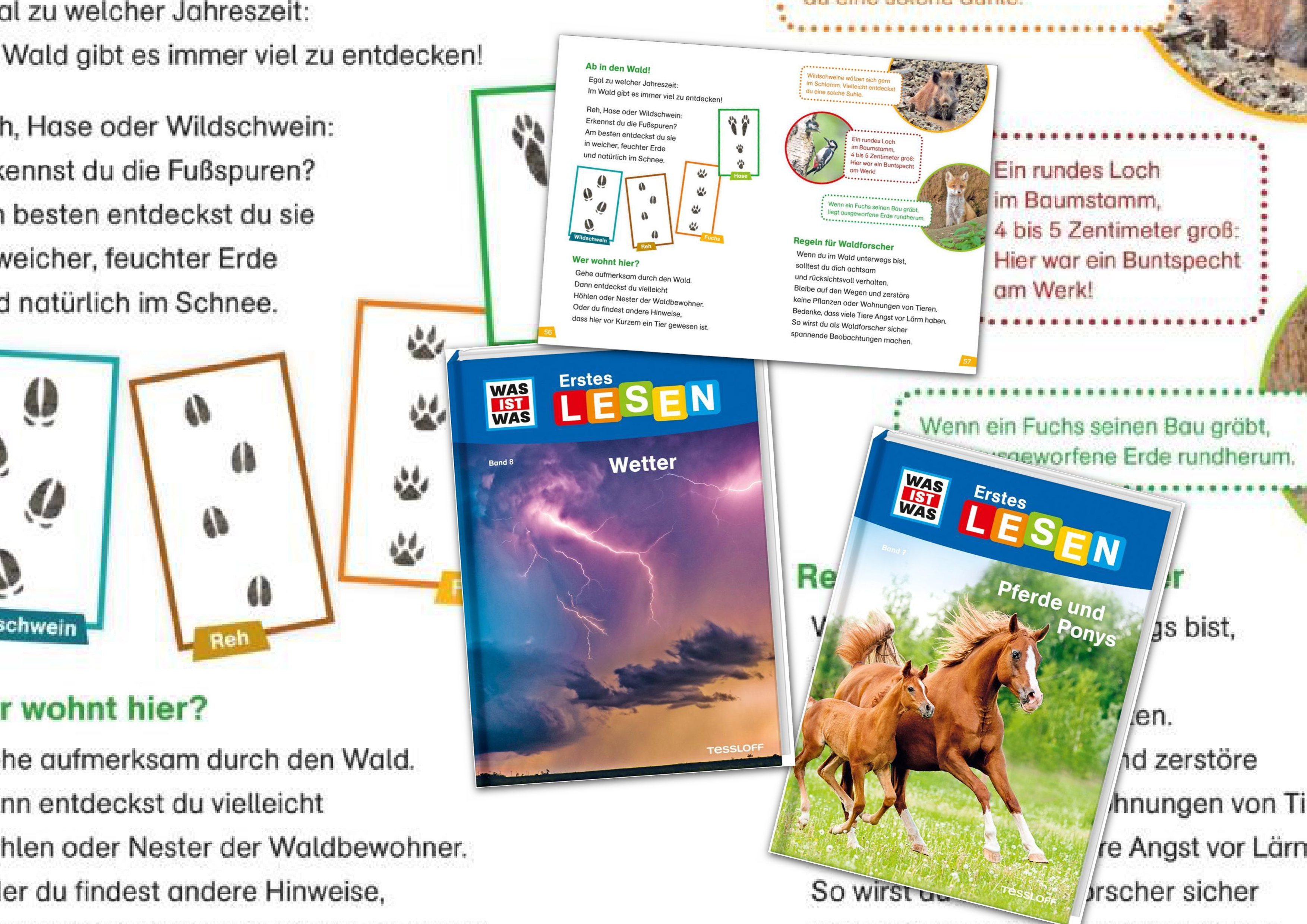 Was Ist Was Erstes Lesen – Drei Bände Geschenk Set (band 6, 7 Und 8):