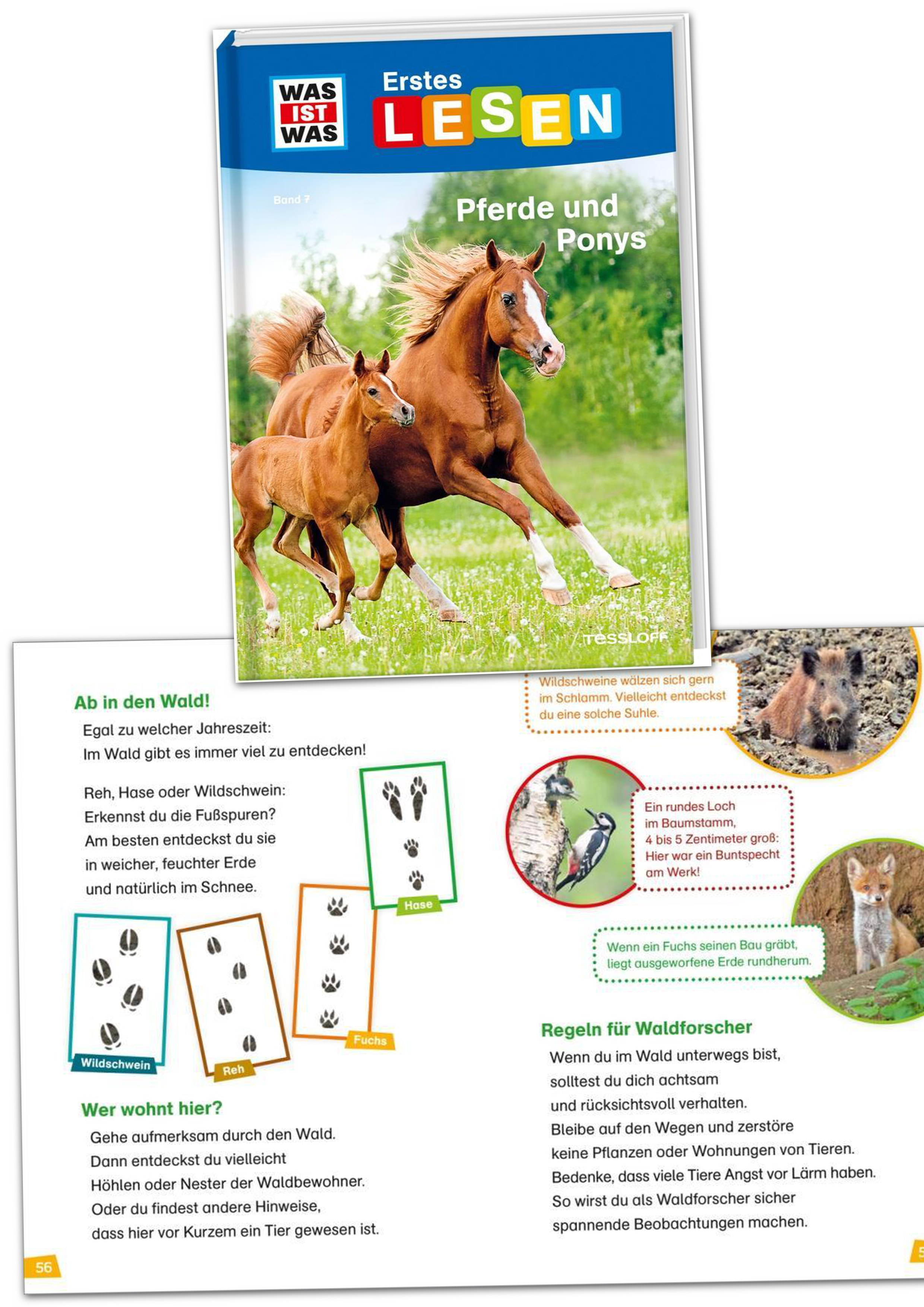 Was Ist Was Erstes Lesen – Zwei Bände Geschenk Set (band 6 Und 7):